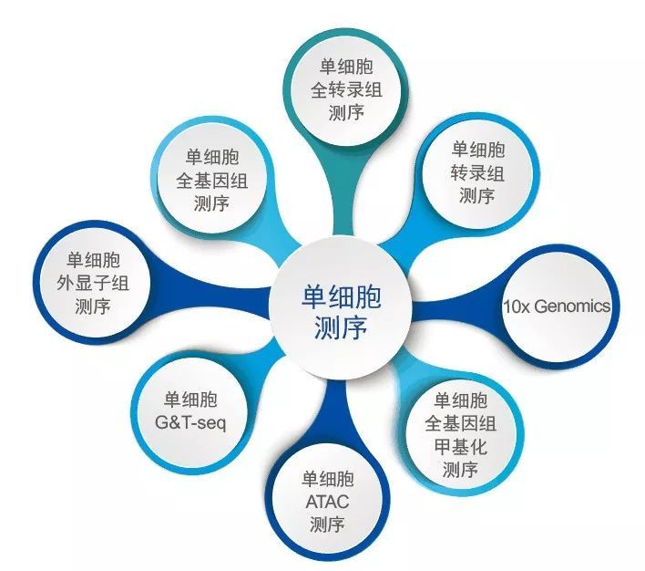 安诺单细胞转录组测序再获突破 两篇高水平研究文章同日发表