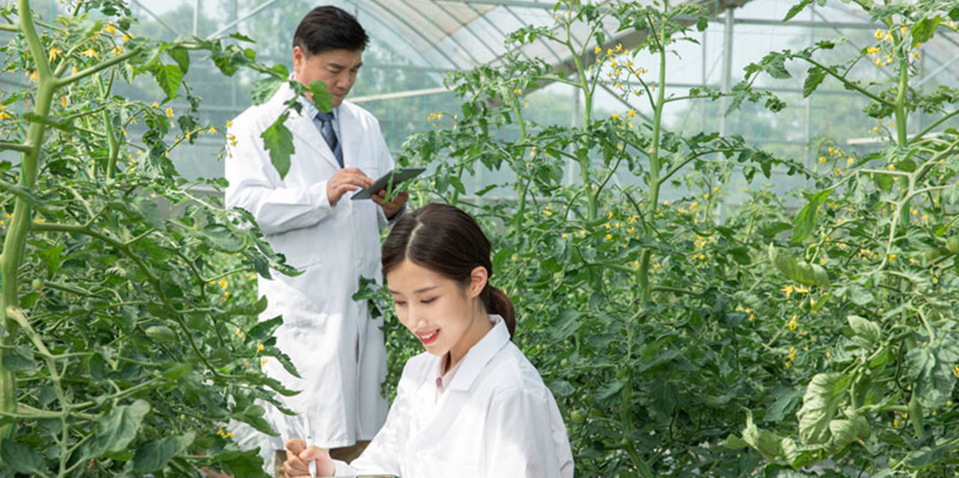 打造高保障的技术服务体系 从响应到赋能的全面进化